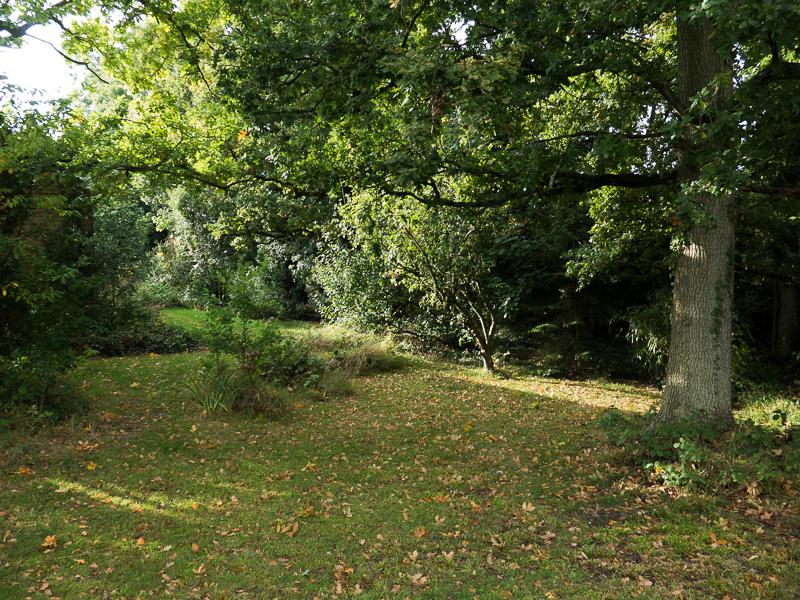 Garden Looking West Garden Looking West