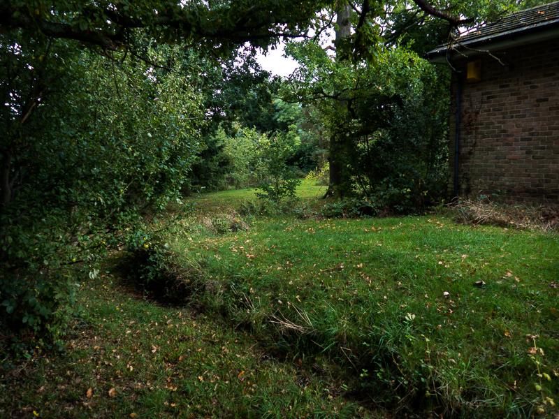 Garden Looking East Garden Looking East
